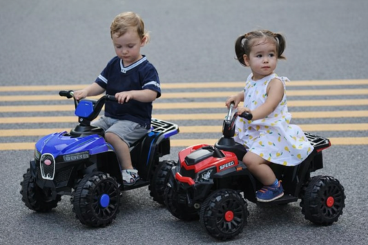 Mini Quad Toy Electric Ride Car 6V