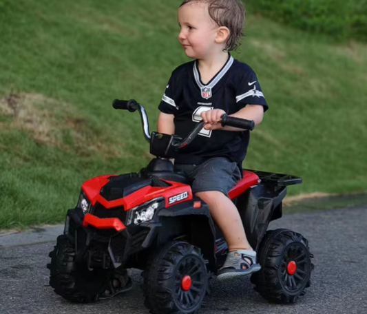 Mini Quad Toy Electric Ride Car 6V